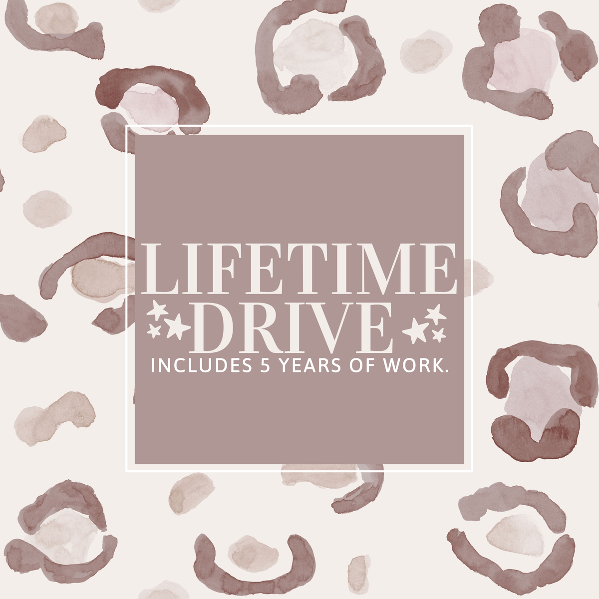 LIFETIME DRIVE