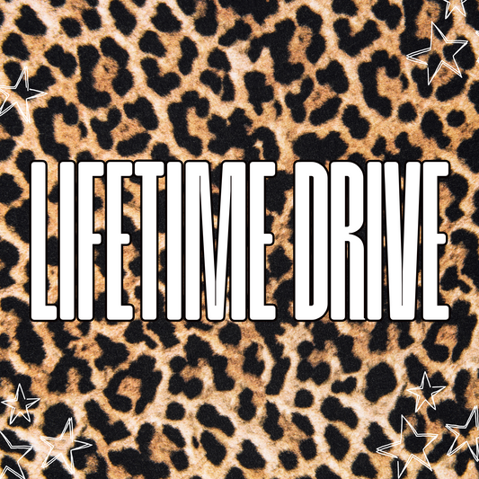 LIFETIME DRIVE