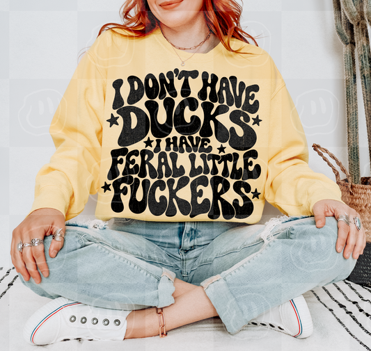 I Don’t Have Ducks Digital Download